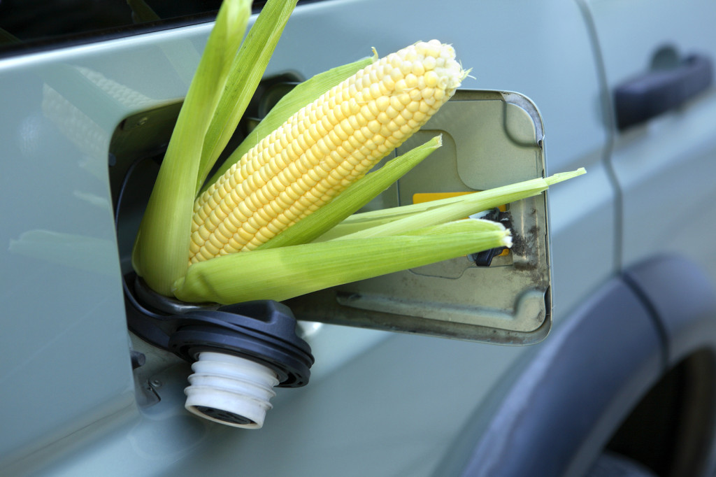 Corn sticking out of gas tank InsideSources
