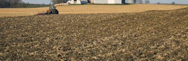 Farm Bill