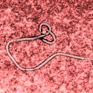 Ron Klain as Ebola Czar:  The Right Person for the Right Job at the Right Time
