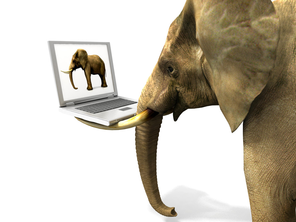 Opinion: Broadband Internet’s Elephant in the Room – InsideSources