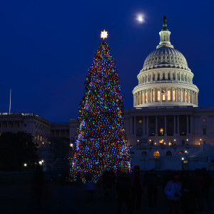 Warren Tries to Head Off Wall Street Gifts on Congressional Christmas Trees