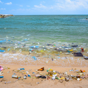 Environmentalists Should Try an Ocean Tack