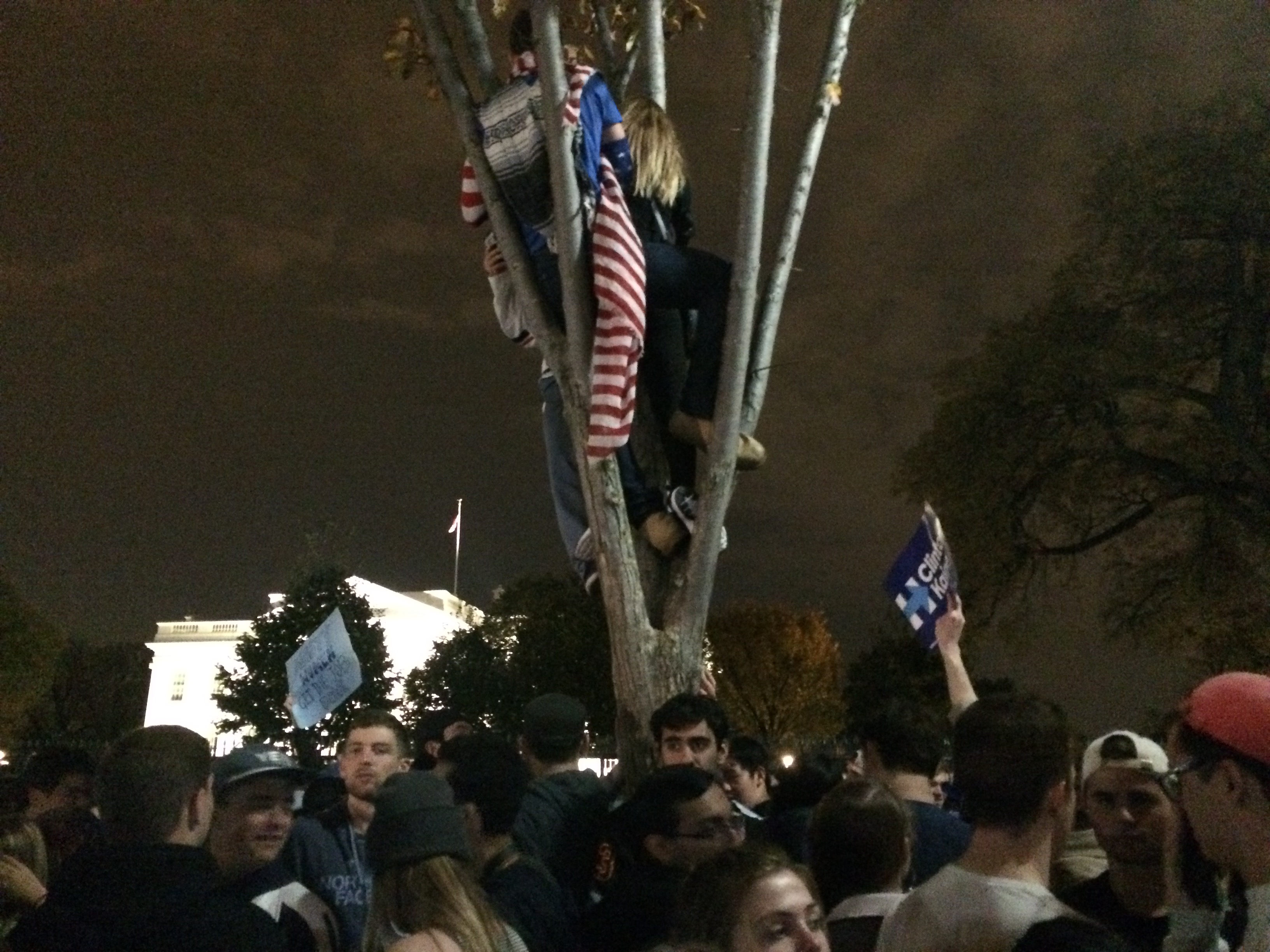 Donald Trump victory protest (Connor D. Wolf/InsideSources)