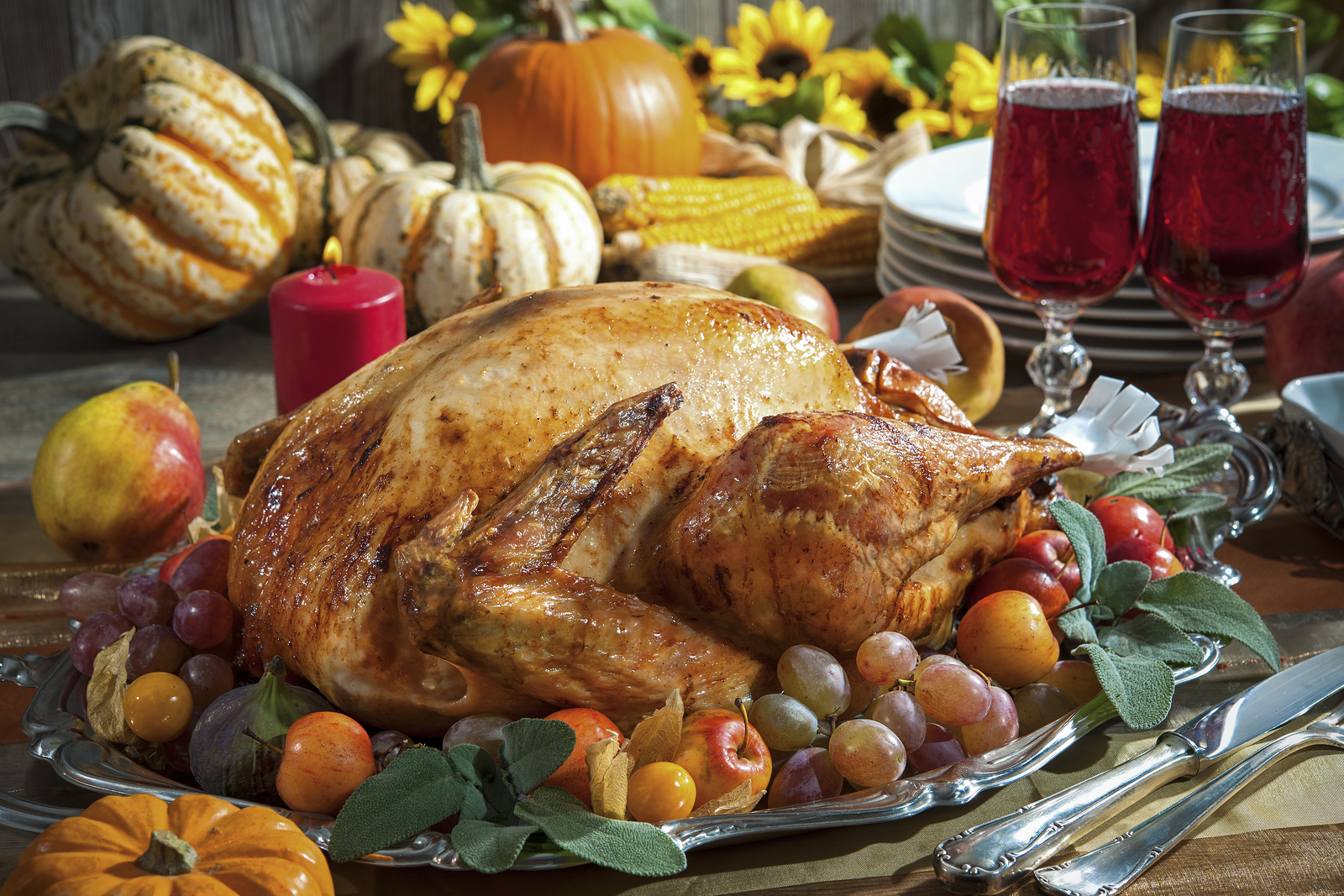 Rediscovering America: Thanksgiving – InsideSources