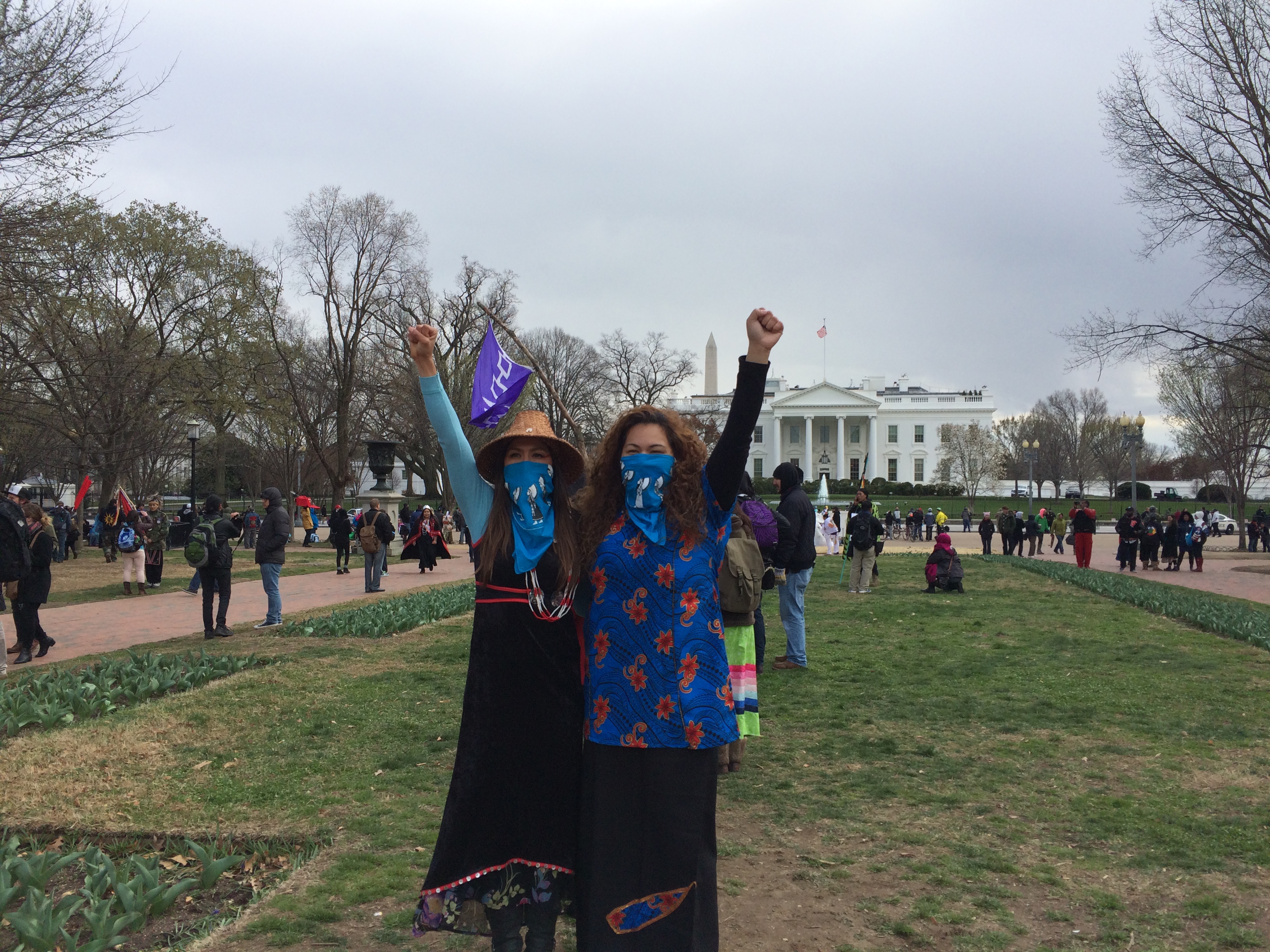 Washington D.C. pipeline protests (Connor D. Wolf/InsideSources)