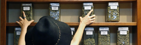 Marijuana
