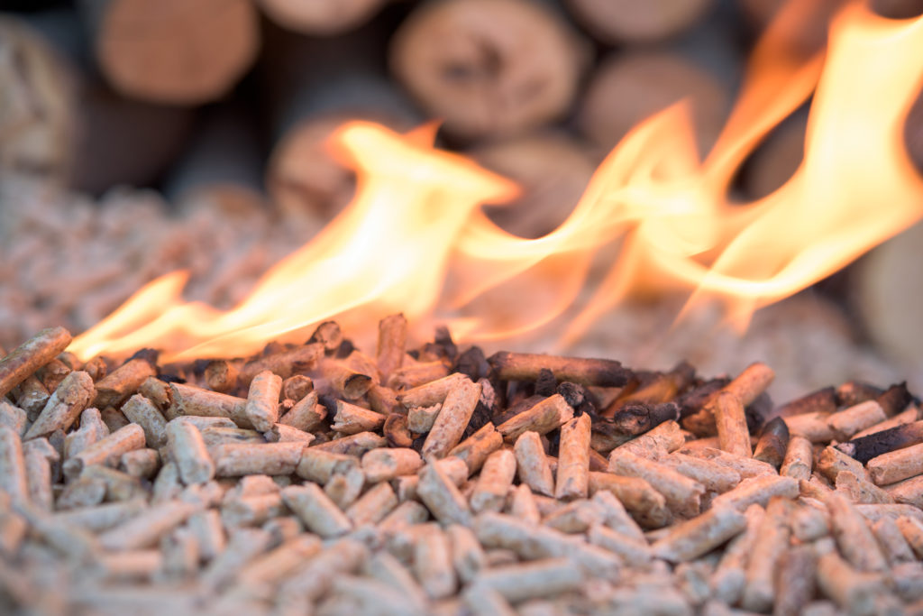 Bring Back the Wood Stove: EPA Memo Announces That Biomass Is Carbon ...