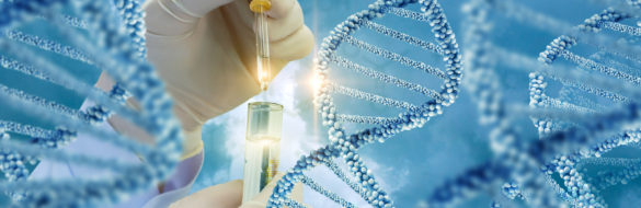 DNA test