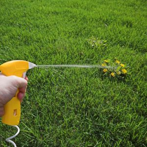Is Your Weed Killer Killing You?