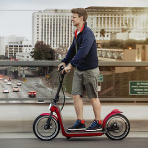 Are Last-Mile Solution Scooters Safe?