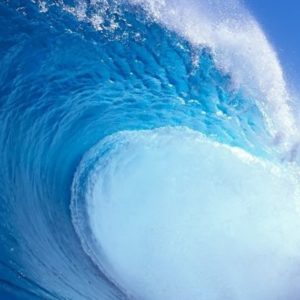 The Voices We Need to Propel the Blue Wave to Victory