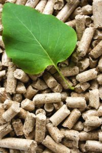 Wood Pellet