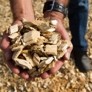 New Report: Biomass a Big Winner in Fight to Reduce Carbon Emissions