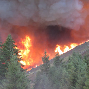 Wildland Firefighters Need Funding, Support to Fight Fire With Fire